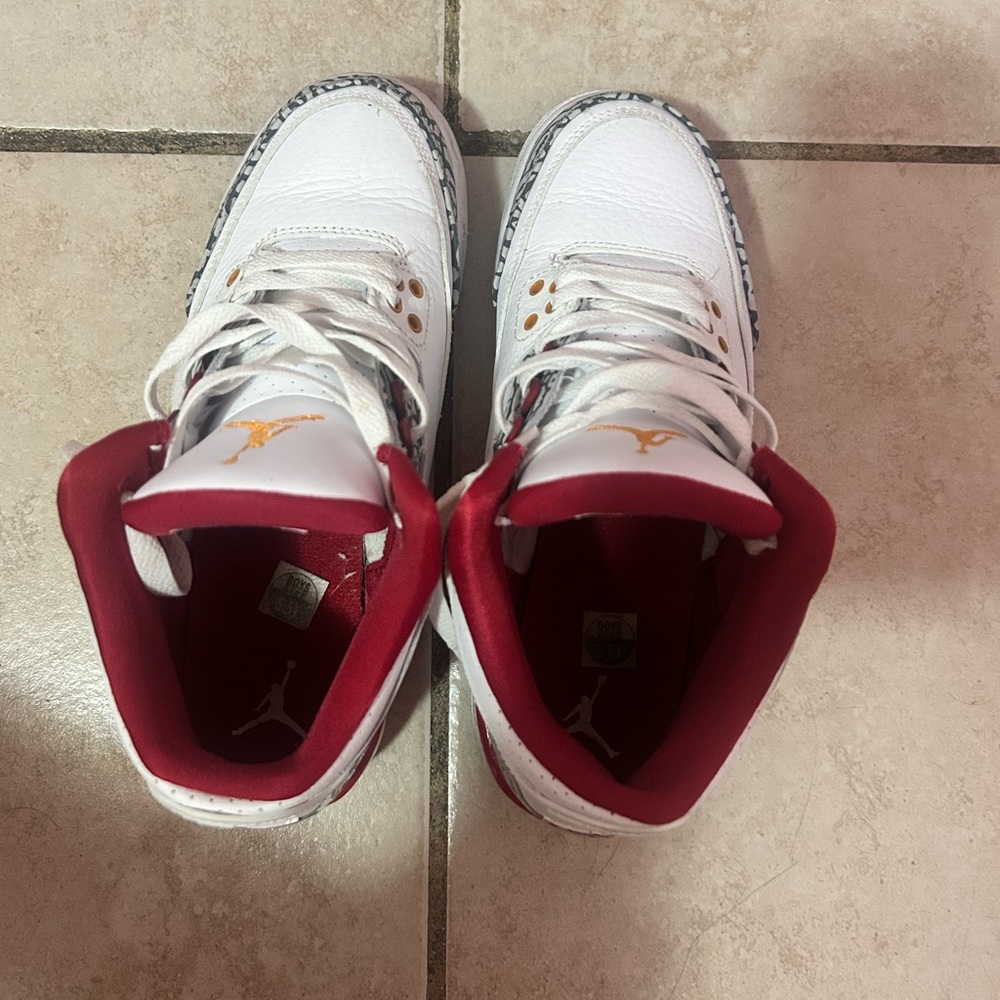 youth/ grade school jordan 3s cardinal red
